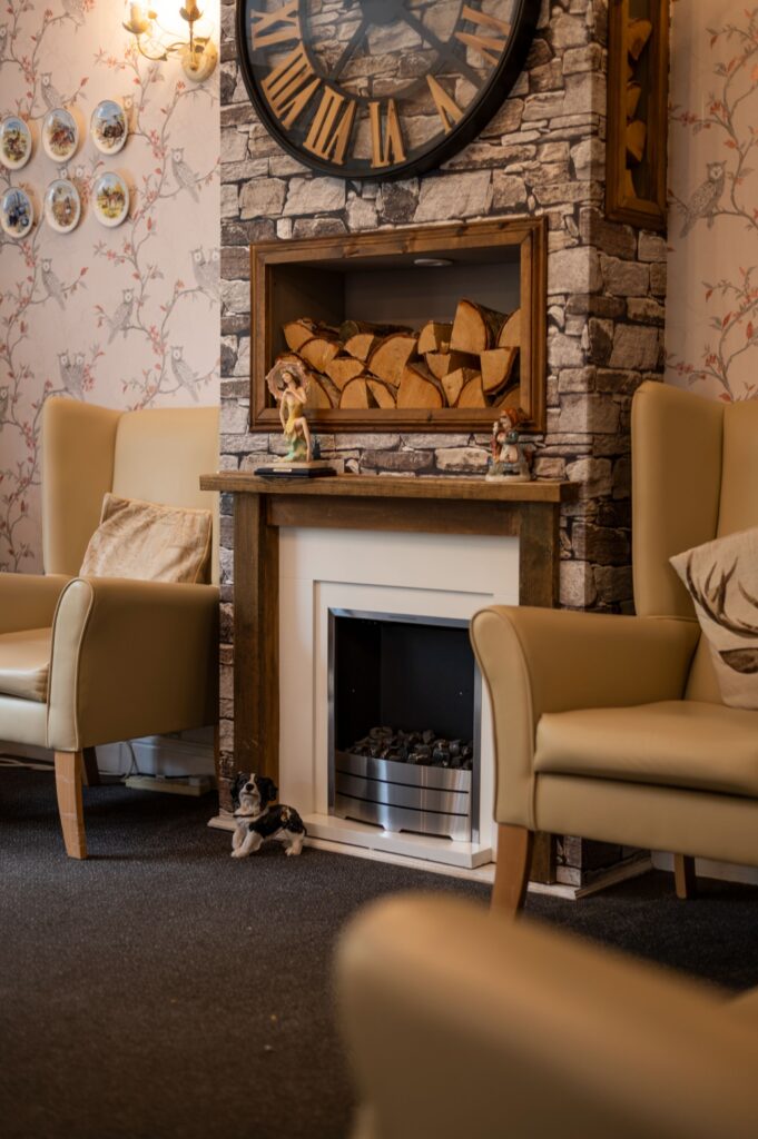 Cozy lounge area featuring two light armchairs, a stone fireplace with logs, decorative plates, and a clock on the wall.