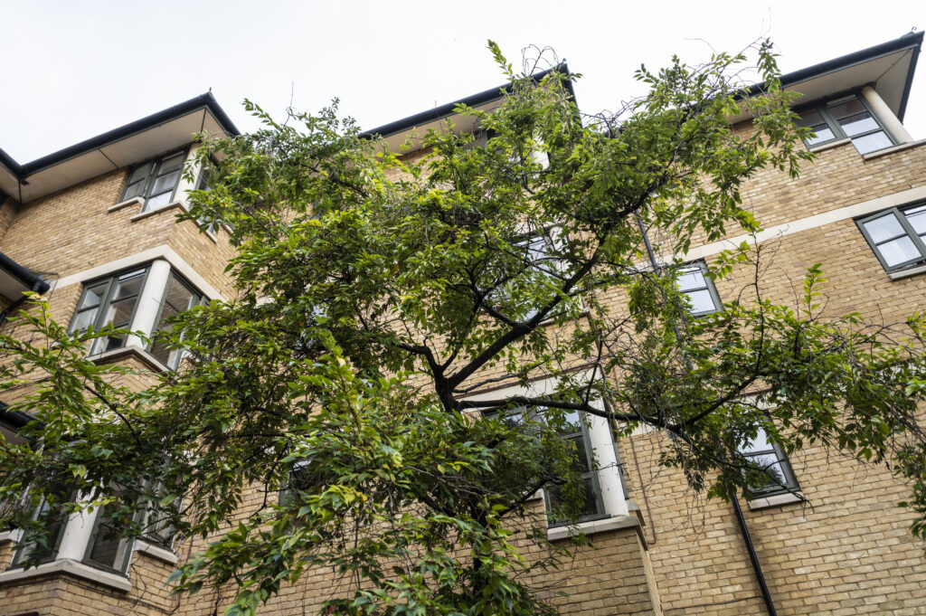 Alan Morkhill Exterior