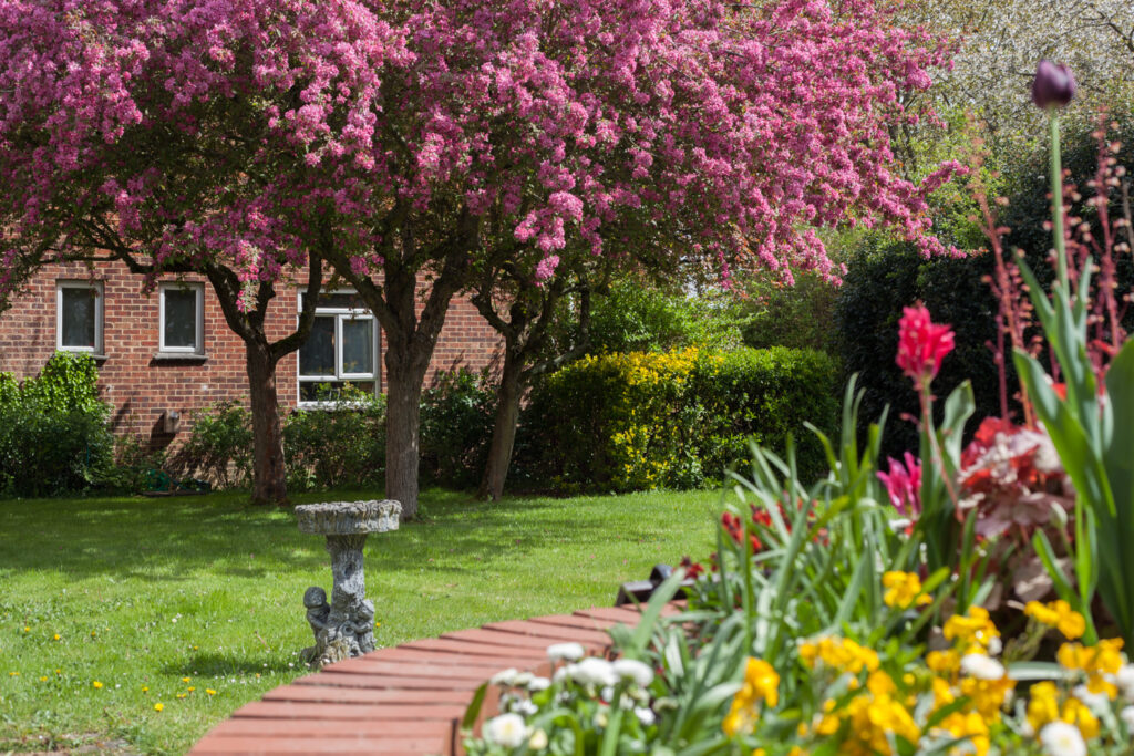 Blooming garden with pink blossom trees, colourful flower beds, and a birdbath near a brick building.
