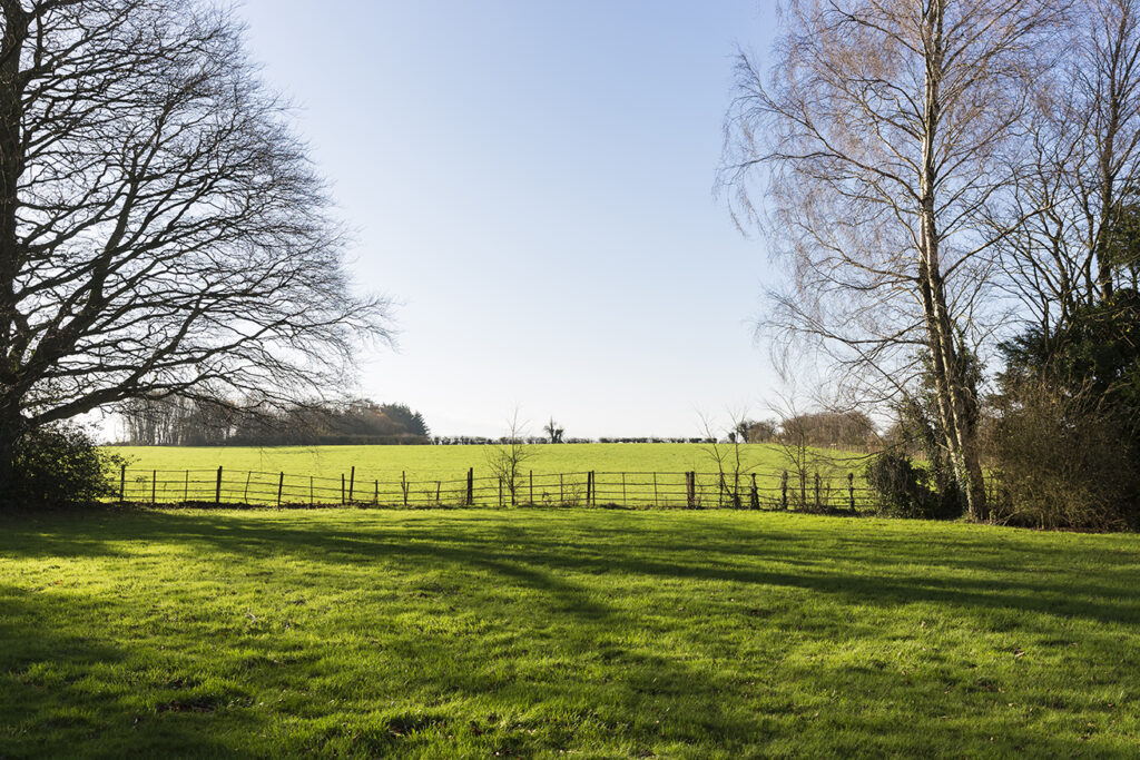 A serene open field bordered by a wooden fence, surrounded by trees under a clear blue sky, showcasing vibrant green grass.
