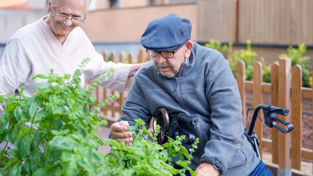 An elderly man in a wheelchair examines green herbs in a garden while a woman supports him, both smiling in a nurturing outdoor setting.