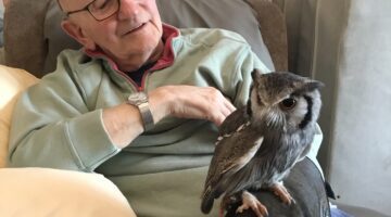 Elderly man interacting with a small owl at home.
