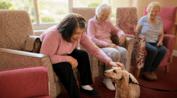 Peanut the Cockapoo brings smiles to Alan Morkill