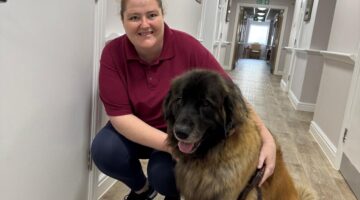 Resident bonding with therapy dog during first session at Willesden Court