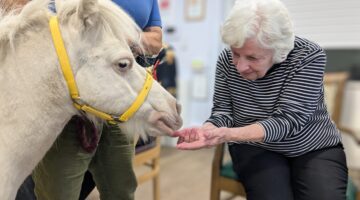 Therapy horse visit brings comfort for elderly care residents