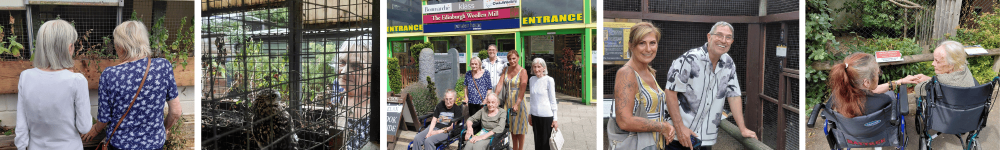 Visitors enjoying Owl Wildlife bird enclosures and entrance