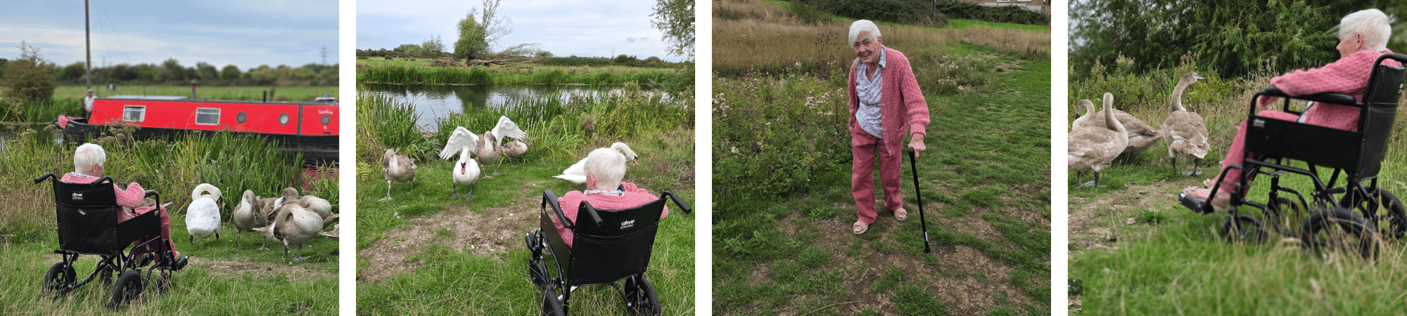 Judith’s river outing at The Tudors: feeding swans and geese