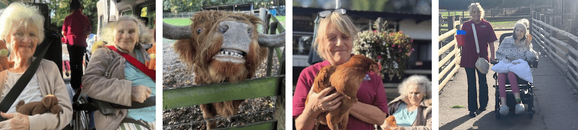 Lion meet and greet as Baugh House residents enjoy farm animals